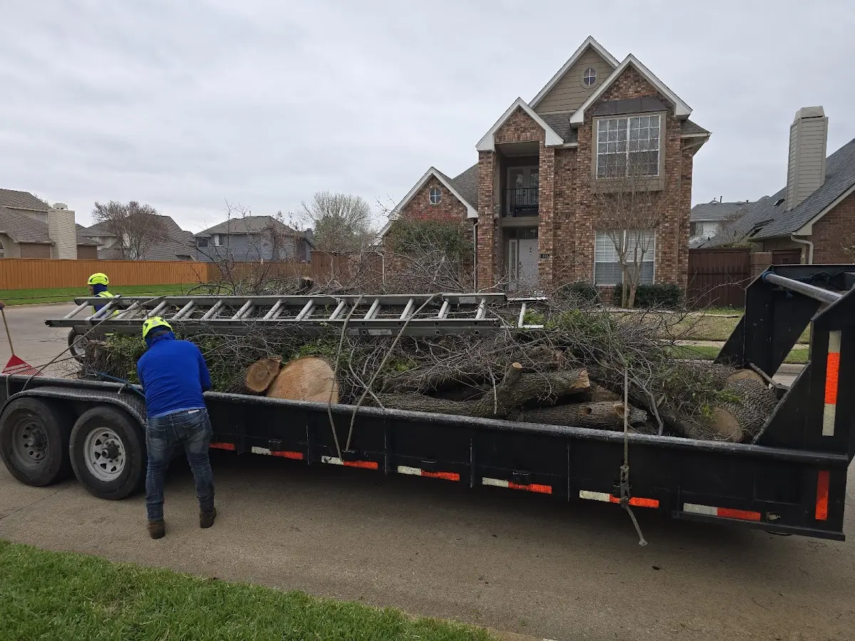 Expert Lot Clearing with proper safety equipment in Maple